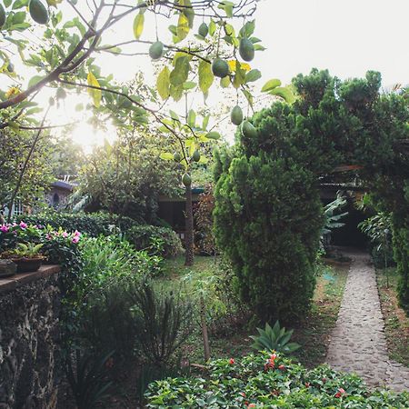 Hotel La Posada Del Valle (Adults Only) تيبوزتلان المظهر الخارجي الصورة